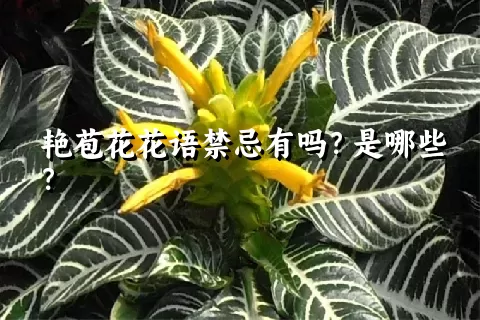 艳苞花花语禁忌有吗？是哪些？