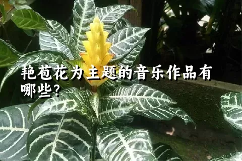 艳苞花为主题的音乐作品有哪些？