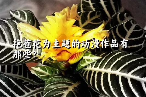 艳苞花为主题的动漫作品有那些？