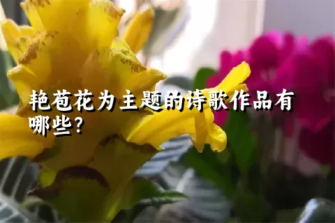 艳苞花为主题的诗歌作品有哪些？