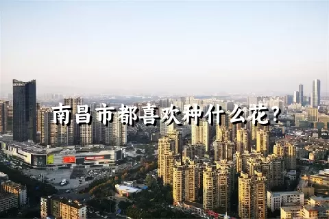 南昌市都喜欢种什么花？