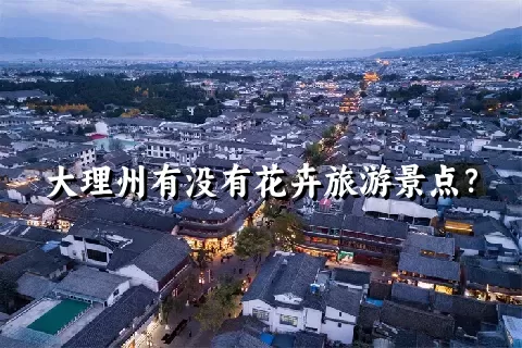 大理州有没有花卉旅游景点？