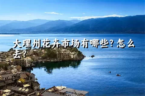 大理州花卉市场有哪些？怎么去？