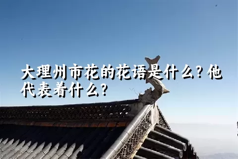 大理州市花的花语是什么？他代表着什么？