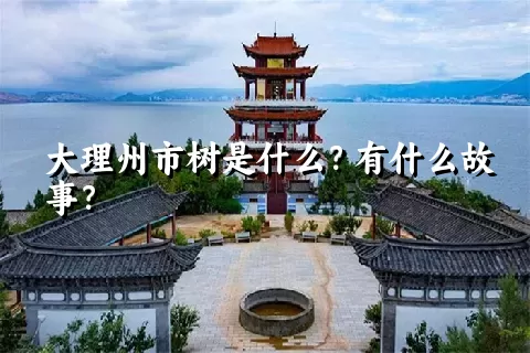 大理州市树是什么？有什么故事？