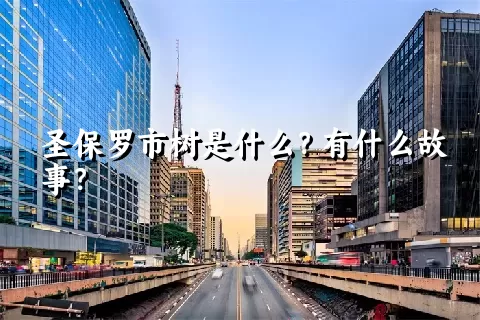 圣保罗市树是什么？有什么故事？