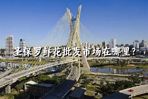 圣保罗鲜花批发市场在哪里？