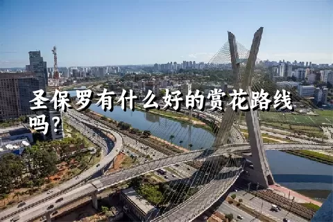 圣保罗有什么好的赏花路线吗？