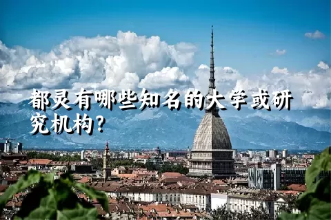 都灵有哪些知名的大学或研究机构？