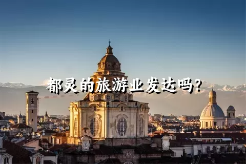 都灵的旅游业发达吗？