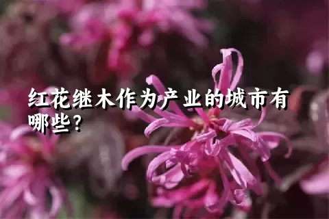 红花继木作为产业的城市有哪些？