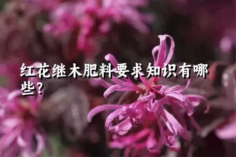 红花继木肥料要求知识有哪些？