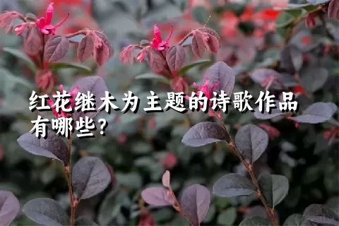 红花继木为主题的诗歌作品有哪些？