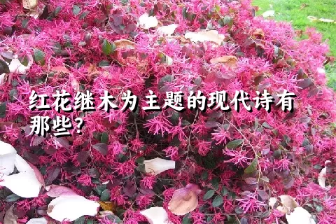 红花继木为主题的现代诗有那些？