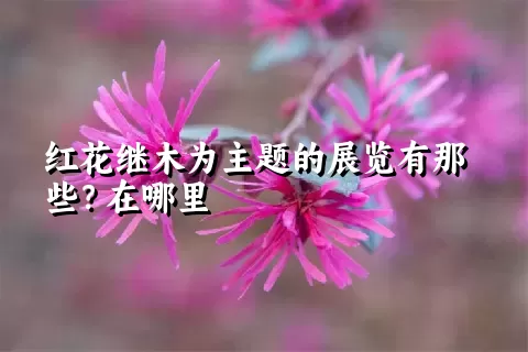 红花继木为主题的展览有那些？在哪里