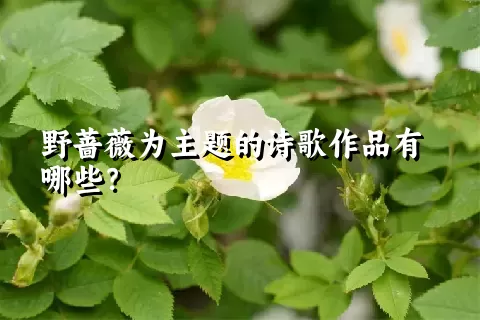 野蔷薇为主题的诗歌作品有哪些？