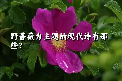 野蔷薇为主题的现代诗有那些？