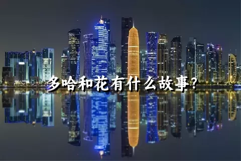 多哈和花有什么故事？