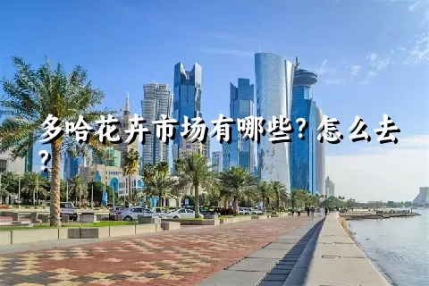 多哈花卉市场有哪些？怎么去？