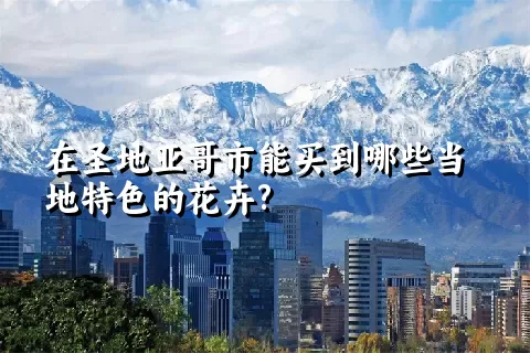 在圣地亚哥市能买到哪些当地特色的花卉?