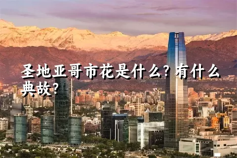 圣地亚哥市花是什么？有什么典故？