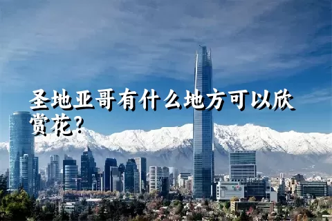 圣地亚哥有什么地方可以欣赏花？