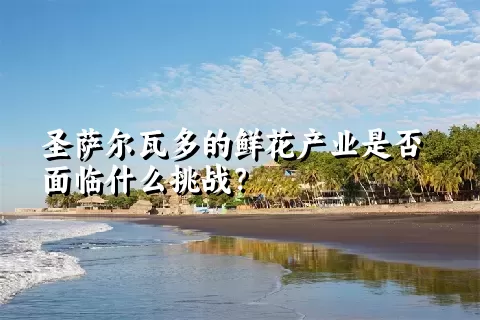 圣萨尔瓦多的鲜花产业是否面临什么挑战？