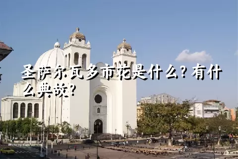 圣萨尔瓦多市花是什么？有什么典故？