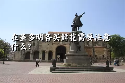 在圣多明各买鲜花需要注意什么？