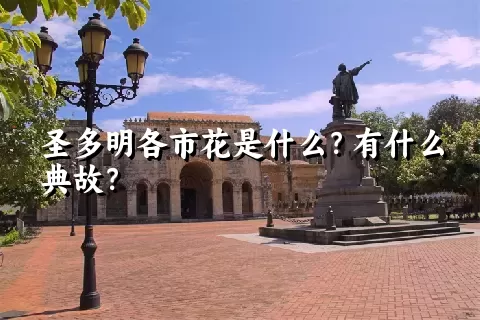 圣多明各市花是什么？有什么典故？