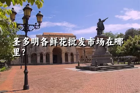 圣多明各鲜花批发市场在哪里？