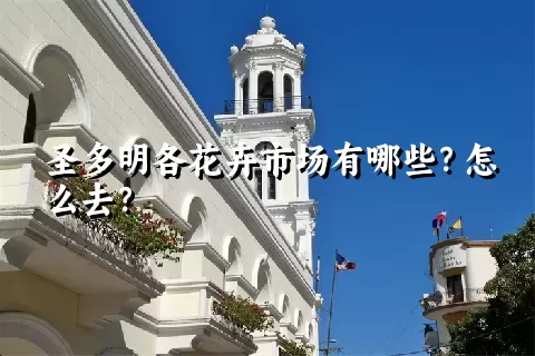 圣多明各花卉市场有哪些？怎么去？