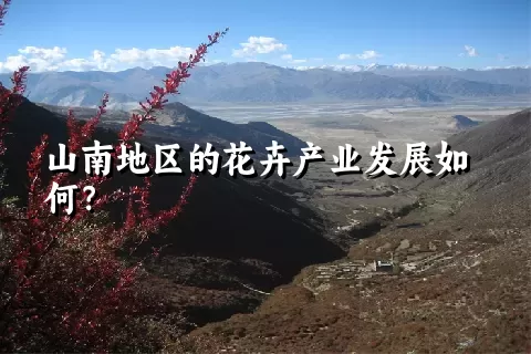 山南地区的花卉产业发展如何？