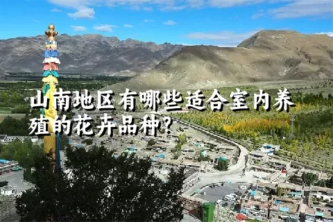 山南地区有哪些适合室内养殖的花卉品种？