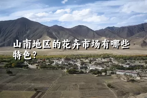 山南地区的花卉市场有哪些特色？