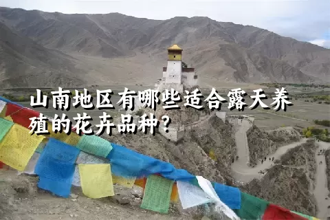 山南地区有哪些适合露天养殖的花卉品种？