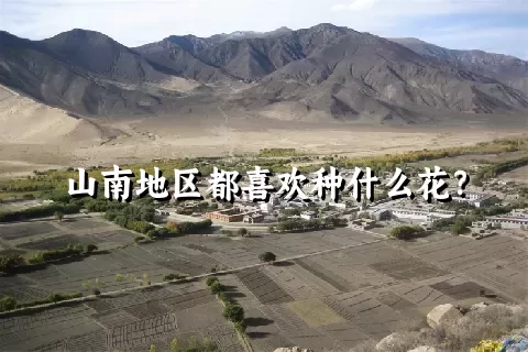 山南地区都喜欢种什么花？