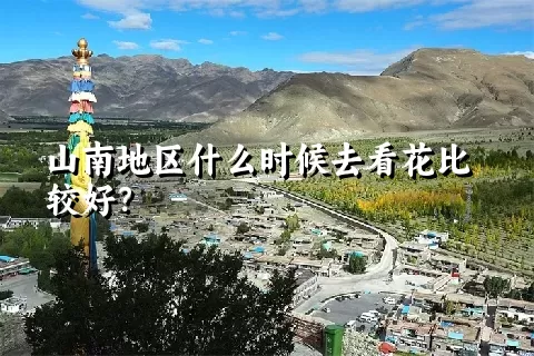 山南地区什么时候去看花比较好？