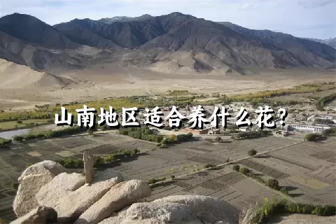 山南地区适合养什么花？