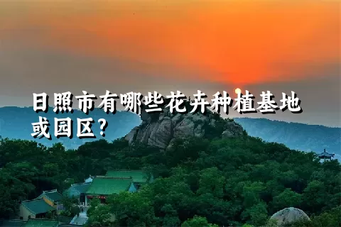 日照市有哪些花卉种植基地或园区?