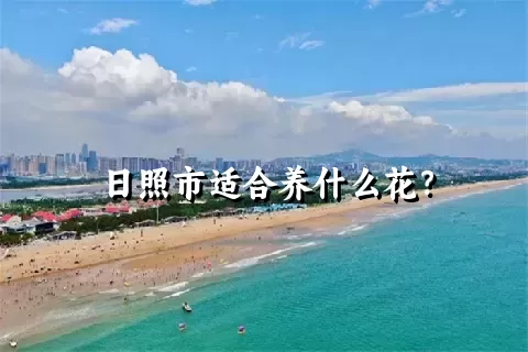 日照市适合养什么花？