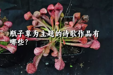 瓶子草为主题的诗歌作品有哪些？