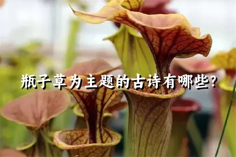 瓶子草为主题的古诗有哪些？