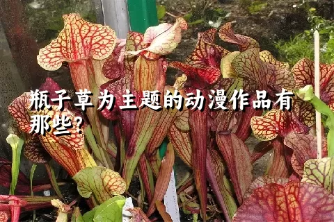 瓶子草为主题的动漫作品有那些？