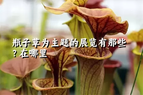 瓶子草为主题的展览有那些？在哪里