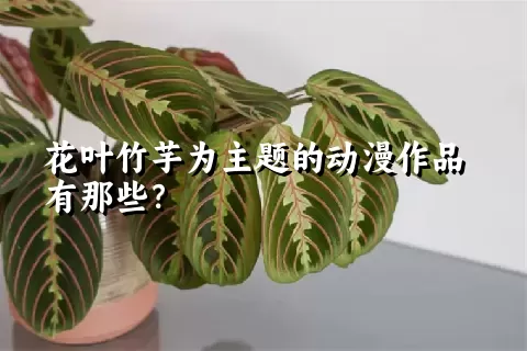 花叶竹芋为主题的动漫作品有那些？