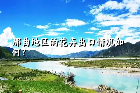 那曲地区的花卉出口情况如何？