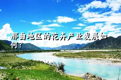 那曲地区的花卉产业发展如何？