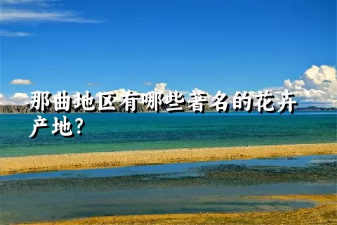 那曲地区有哪些著名的花卉产地？