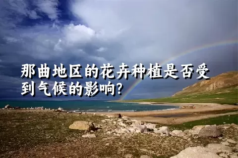 那曲地区的花卉种植是否受到气候的影响？